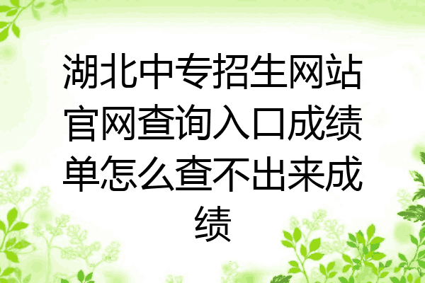 湖北中专招生网站官网查询入口成绩单怎么查不出来成绩