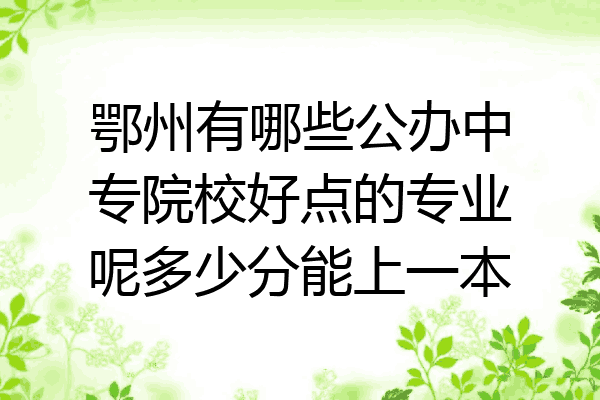 鄂州有哪些公办中专院校好点的专业呢多少分能上一本