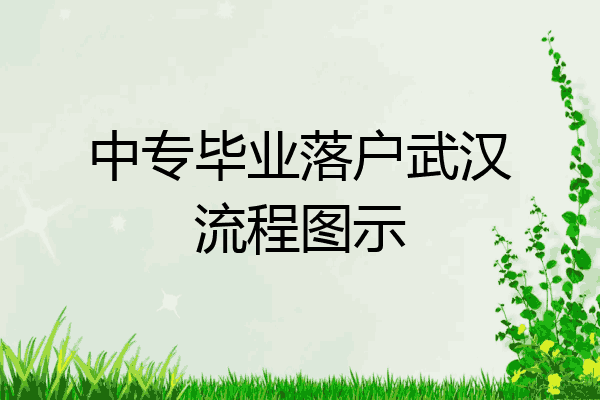 中专毕业落户武汉流程图示