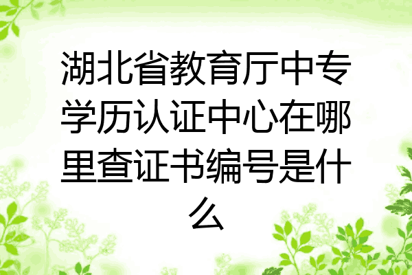 湖北省教育厅中专学历认证中心在哪里查证书编号是什么