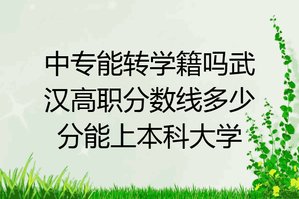 中专能转学籍吗武汉高职分数线多少分能上本科大学