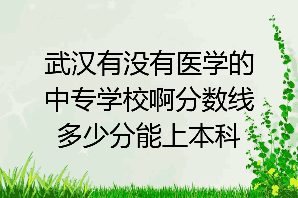 武汉有没有医学的中专学校啊分数线多少分能上本科