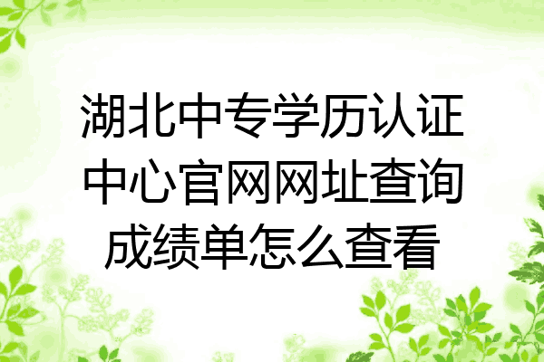 湖北中专学历认证中心官网网址查询成绩单怎么查看