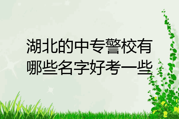 湖北的中专警校有哪些名字好考一些