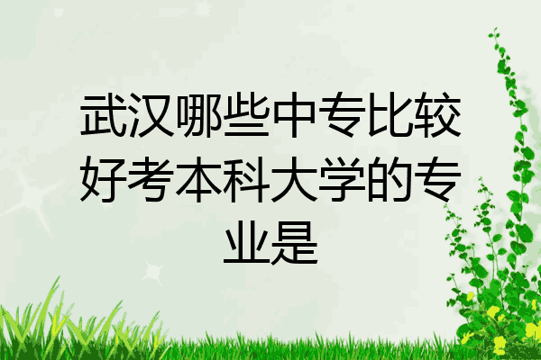 武汉哪些中专比较好考本科大学的专业是