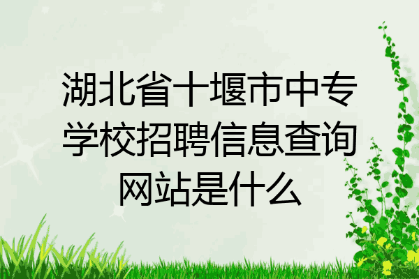 湖北省十堰市中专学校招聘信息查询网站是什么