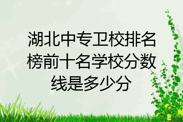 湖北中专卫校排名榜前十名学校分数线是多少分