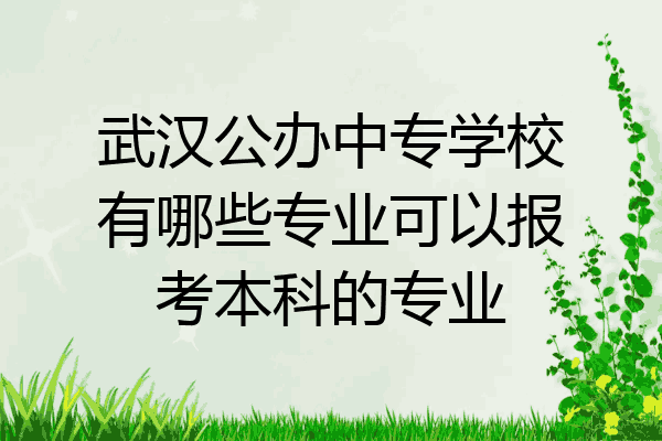 武汉公办中专学校有哪些专业可以报考本科的专业