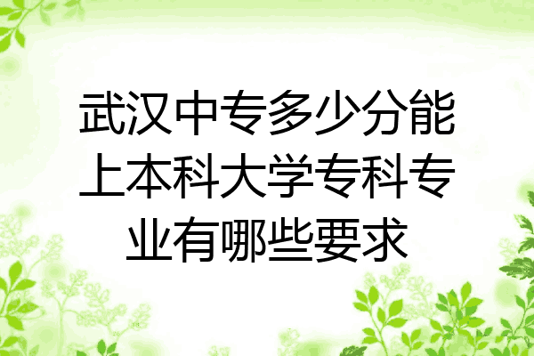 武汉中专多少分能上本科大学专科专业有哪些要求