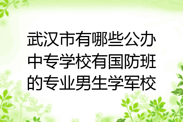 武汉市有哪些公办中专学校有国防班的专业男生学军校
