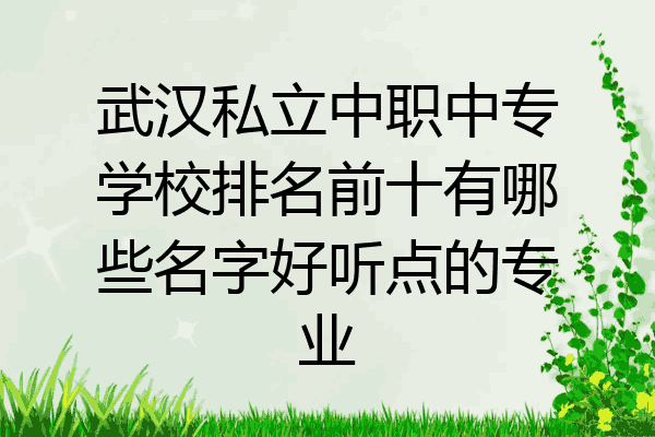 武汉私立中职中专学校排名前十有哪些名字好听点的专业