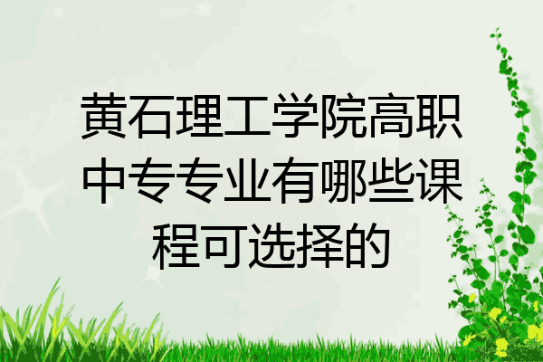 黄石理工学院高职中专专业有哪些课程可选择的