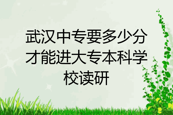 武汉中专要多少分才能进大专本科学校读研