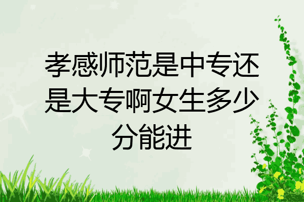 孝感师范是中专还是大专啊女生多少分能进