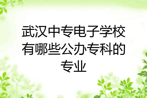 武汉中专电子学校有哪些公办专科的专业
