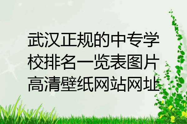 武汉正规的中专学校排名一览表图片高清壁纸网站网址