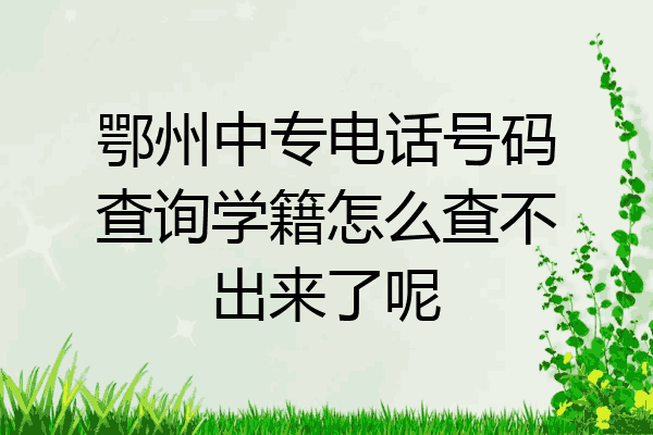 鄂州中专电话号码查询学籍怎么查不出来了呢