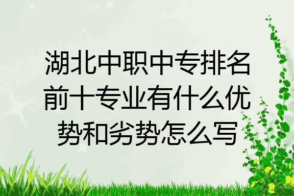 湖北中职中专排名前十专业有什么优势和劣势怎么写