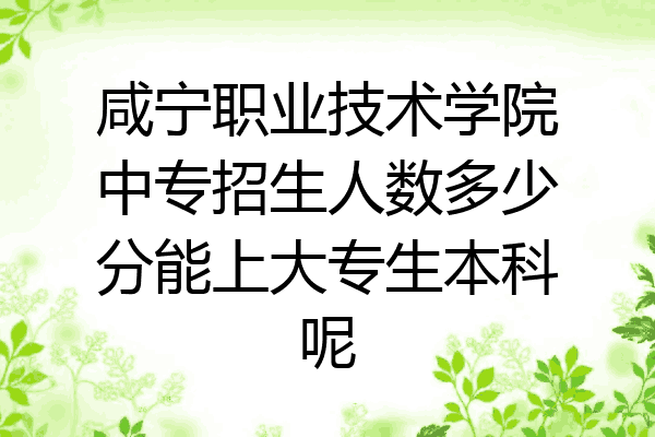 咸宁职业技术学院中专招生人数多少分能上大专生本科呢