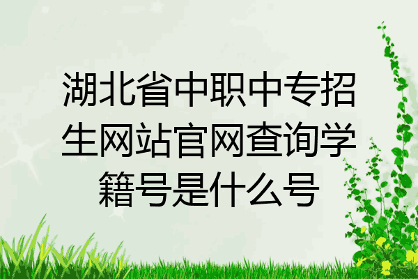 湖北省中职中专招生网站官网查询学籍号是什么号