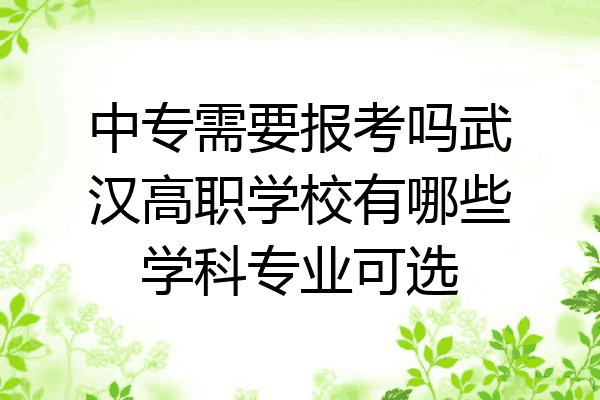 中专需要报考吗武汉高职学校有哪些学科专业可选