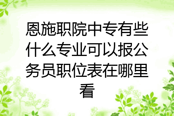 恩施职院中专有些什么专业可以报公务员职位表在哪里看