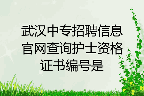 武汉中专招聘信息官网查询护士资格证书编号是