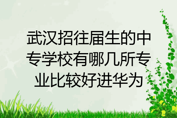 武汉招往届生的中专学校有哪几所专业比较好进华为