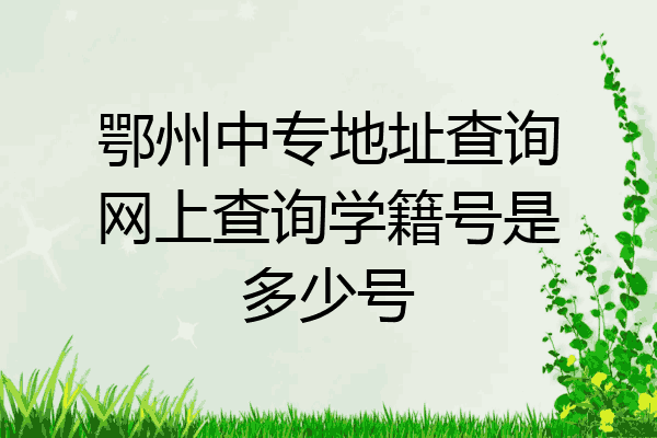 鄂州中专地址查询网上查询学籍号是多少号