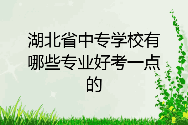 湖北省中专学校有哪些专业好考一点的