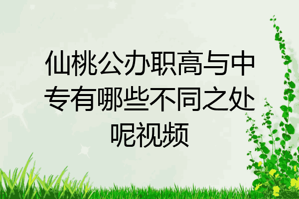 仙桃公办职高与中专有哪些不同之处呢视频
