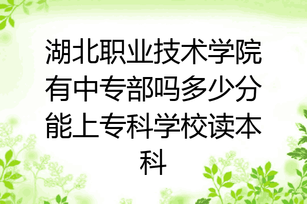 湖北职业技术学院有中专部吗多少分能上专科学校读本科
