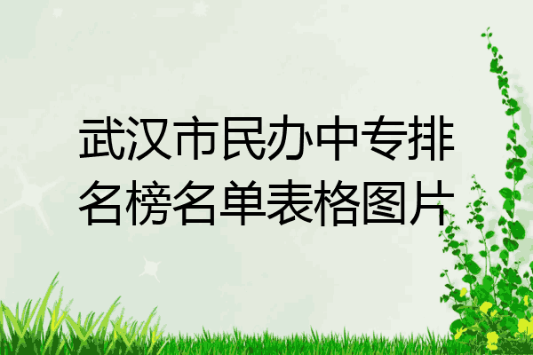 武汉市民办中专排名榜名单表格图片
