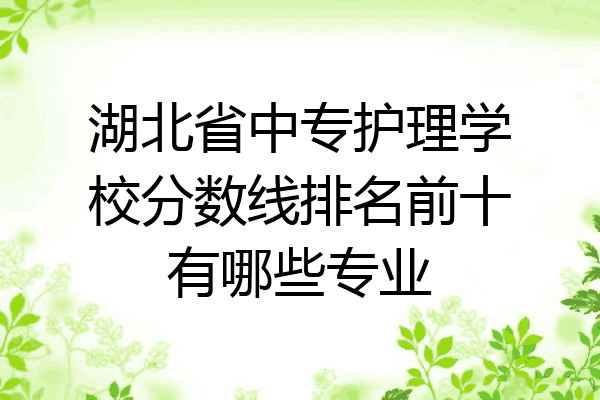 湖北省中专护理学校分数线排名前十有哪些专业