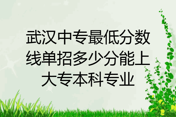 武汉中专最低分数线单招多少分能上大专本科专业