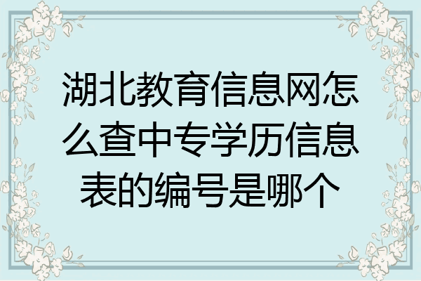 湖北教育信息网怎么查中专学历信息表的编号是哪个