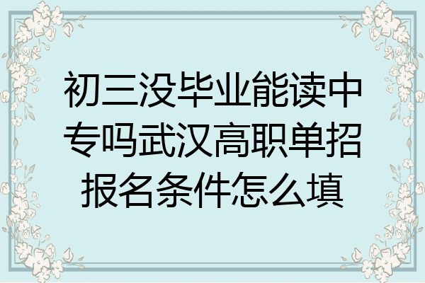 初三没毕业能读中专吗武汉高职单招报名条件怎么填