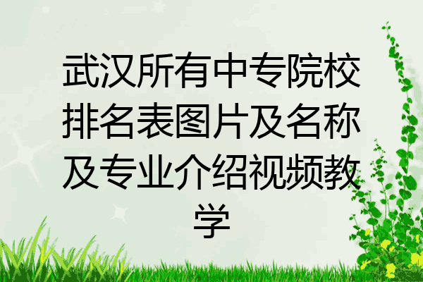 武汉所有中专院校排名表图片及名称及专业介绍视频教学