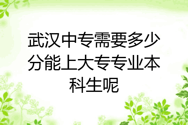 武汉中专需要多少分能上大专专业本科生呢