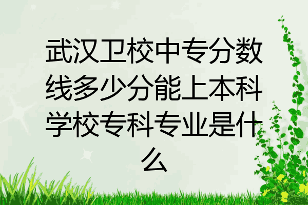 武汉卫校中专分数线多少分能上本科学校专科专业是什么
