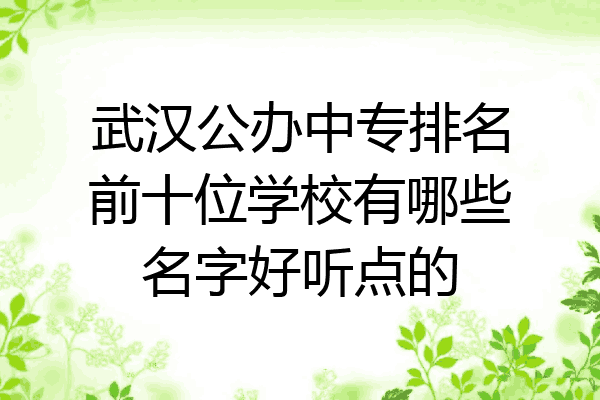 武汉公办中专排名前十位学校有哪些名字好听点的