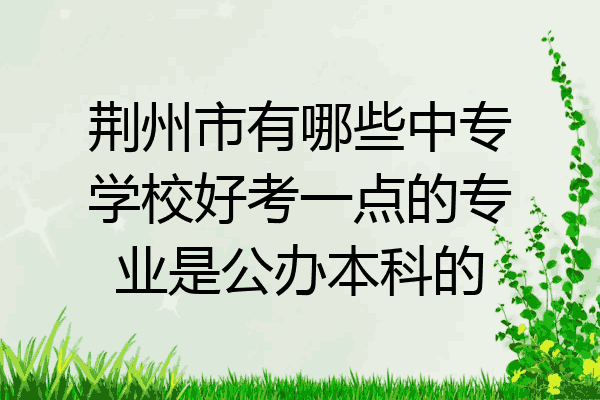 荆州市有哪些中专学校好考一点的专业是公办本科的