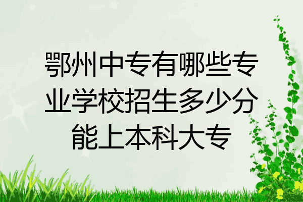 鄂州中专有哪些专业学校招生多少分能上本科大专