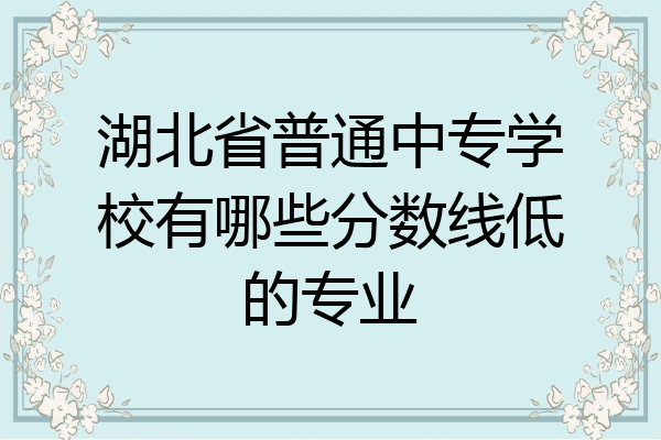 湖北省普通中专学校有哪些分数线低的专业