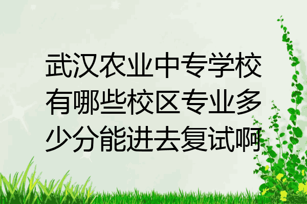 武汉农业中专学校有哪些校区专业多少分能进去复试啊