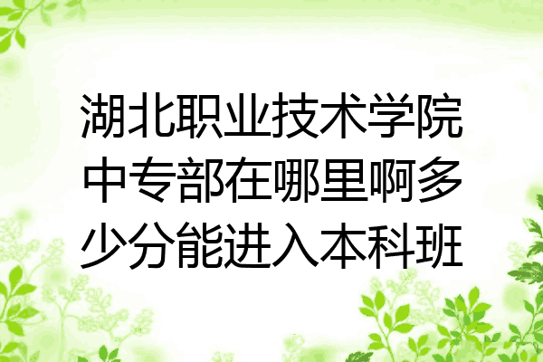 湖北职业技术学院中专部在哪里啊多少分能进入本科班