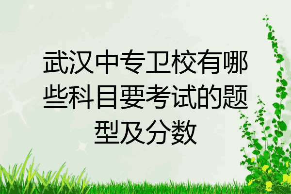 武汉中专卫校有哪些科目要考试的题型及分数