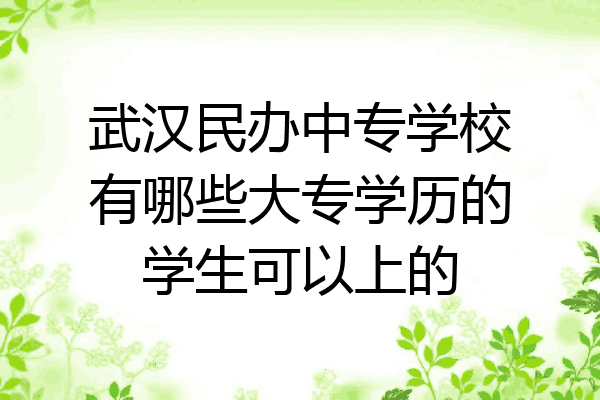武汉民办中专学校有哪些大专学历的学生可以上的