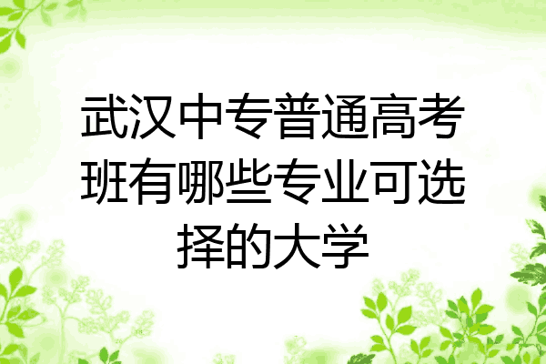 武汉中专普通高考班有哪些专业可选择的大学