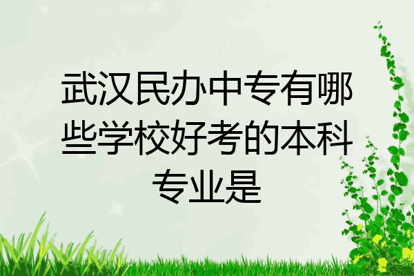 武汉民办中专有哪些学校好考的本科专业是